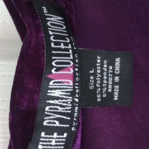 PYRAMID COLLECTION RENAISSANCE ELEGANT DEEP PURPLE VELVET MAXI DRESS SZ L - Picture 6 of 9